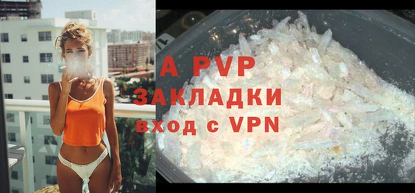 спиды Богданович